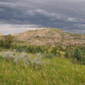  Theodore Roosevelt National Park